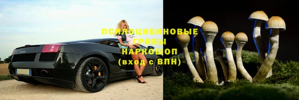 a pvp Алексин