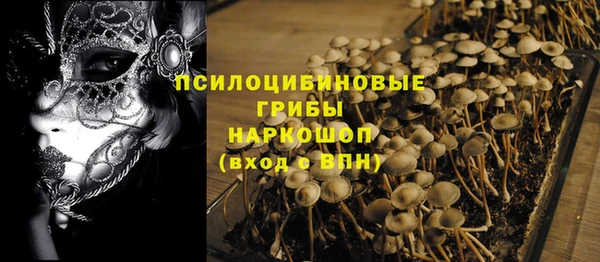 a pvp Алексин