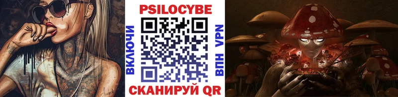 Псилоцибиновые грибы Psilocybine cubensis  Катайск 